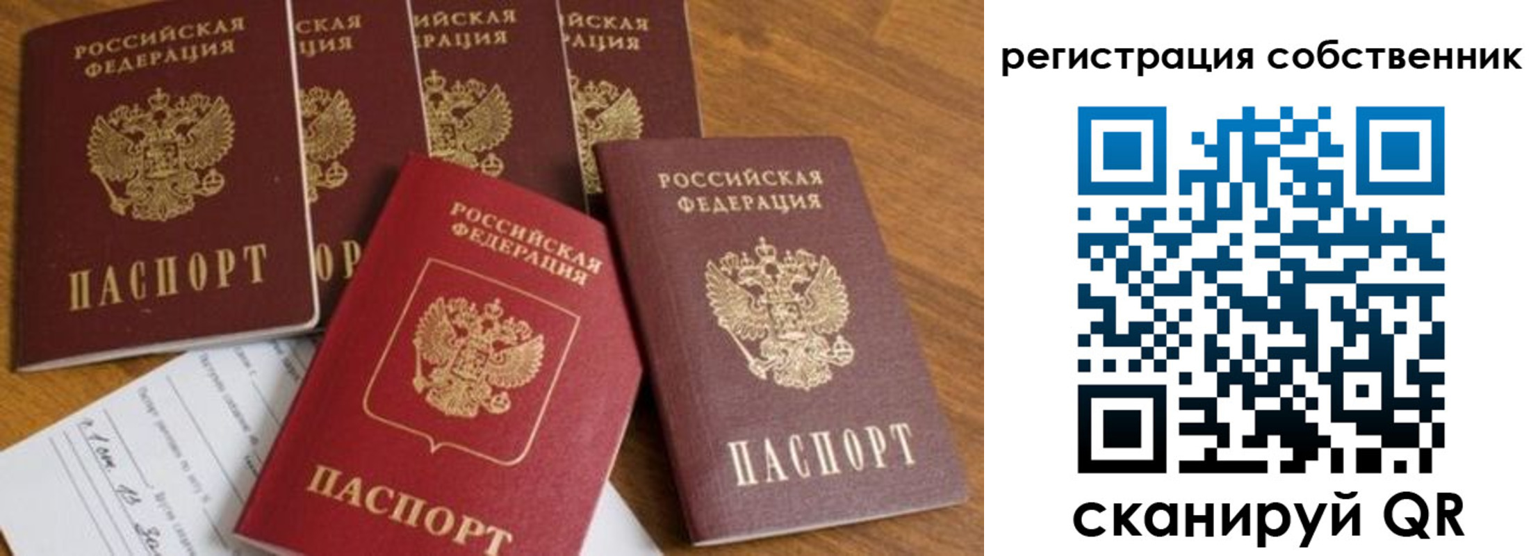 временная регистрация адрес в Ельне